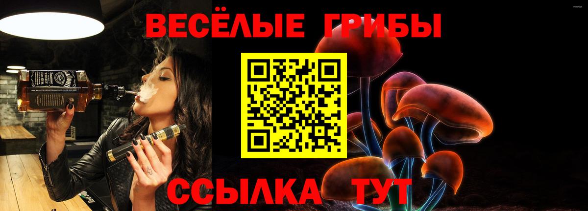 Муравленко  Галлюциногенные грибы Cubensis  Вход с VPN  Псилоцибиновые грибы Psilocybine cubensis 